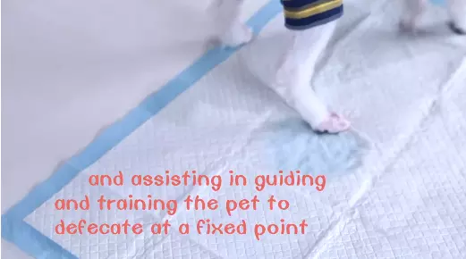60*40cm Sky Blue Pet Defecation Inducer Dog Potty Training