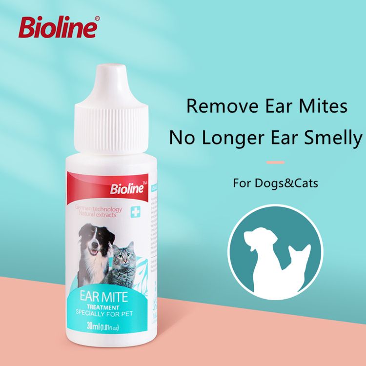 Pet ear mite treatment Pet ear care away from ear odor