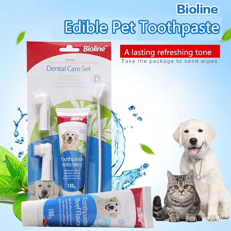 Oem Private Label Beef Flavor Pet Grooming Dog Cat Toothpaste With Toothbrush