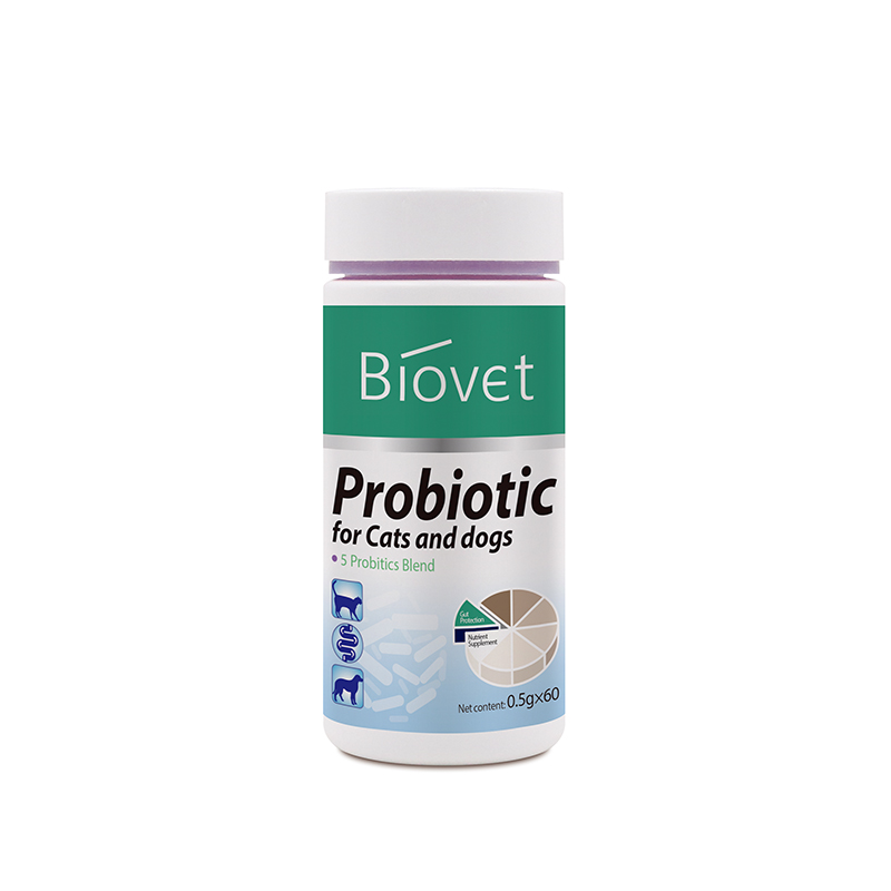 Probiotic for Cats and Dogs(1223)Customized