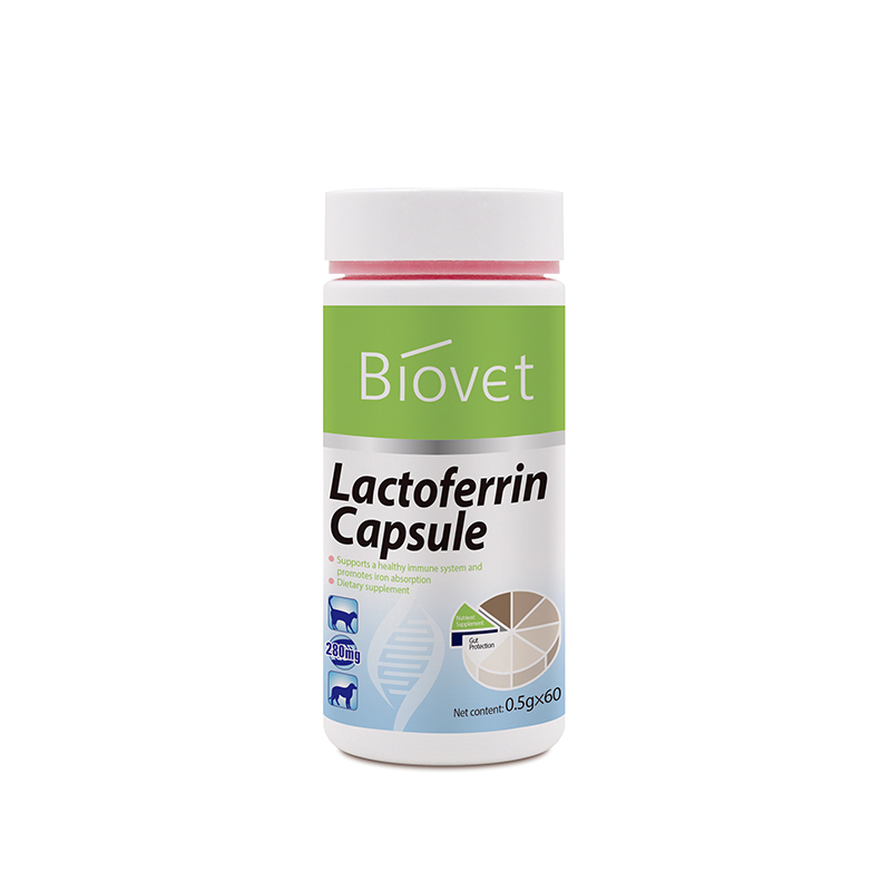 Lactoferrin Capsule（1228）Customized