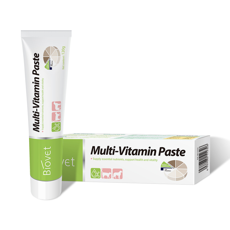 Multi-vitamin Paste（1232）Customized